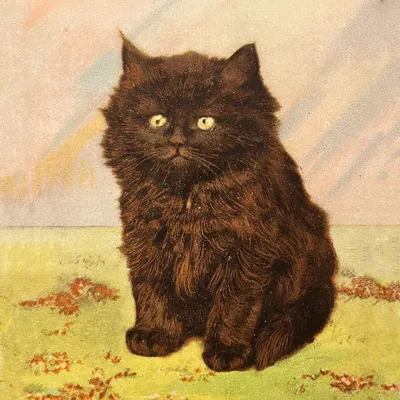 Colorized photograph of a chubby little longhaired black kitten. It’s a studio portrait and he’s sitting on green fabric with a painted backdrop with blue and white brushstrokes resembling the sky. He’s round and plump and looks so happy. The heavy colorization makes it look more like an illustration than a photo.